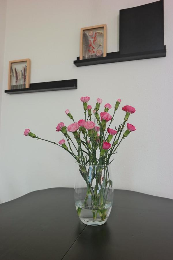 Apartmán Slaap Lekker Dokkum Exteriér fotografie