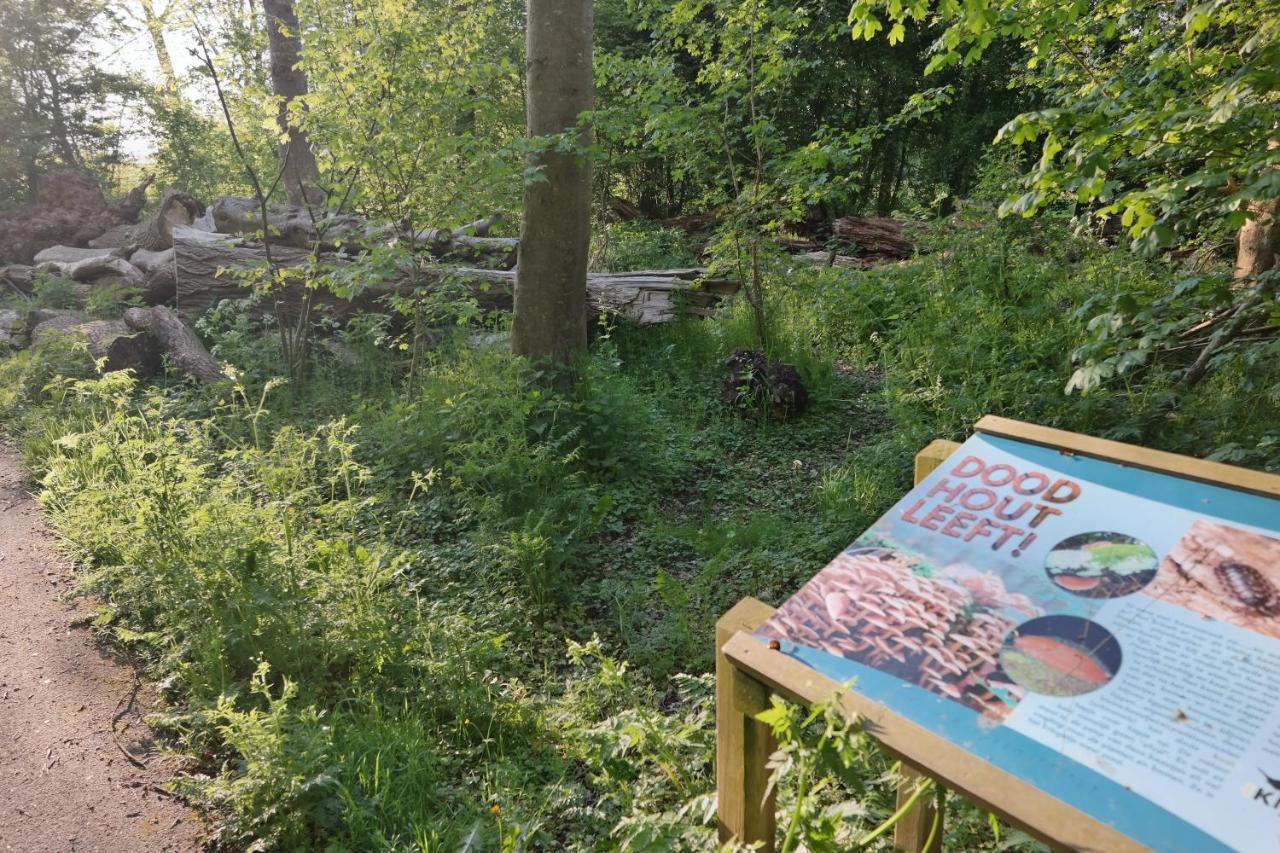 Apartmán Slaap Lekker Dokkum Exteriér fotografie