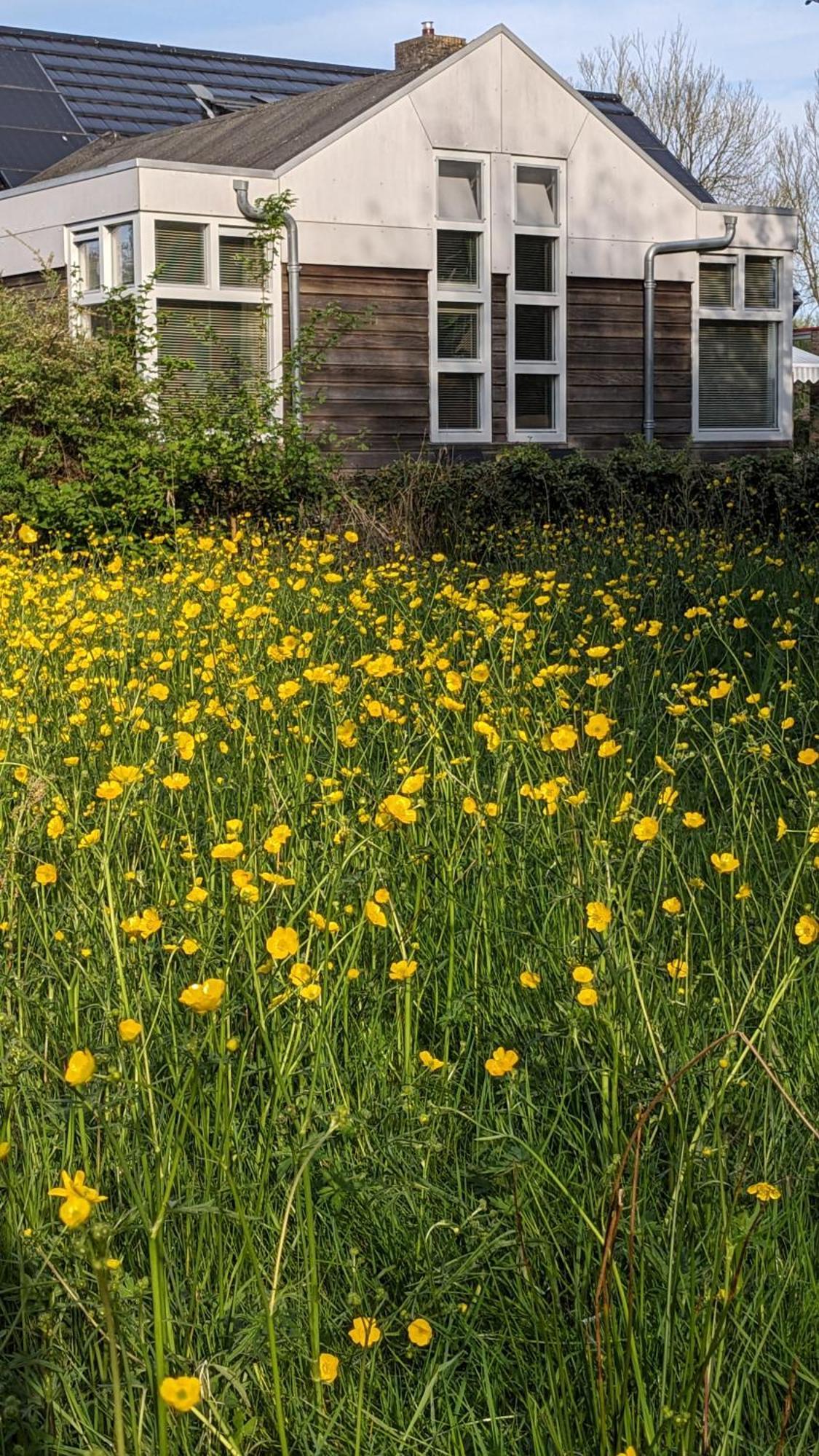 Apartmán Slaap Lekker Dokkum Exteriér fotografie